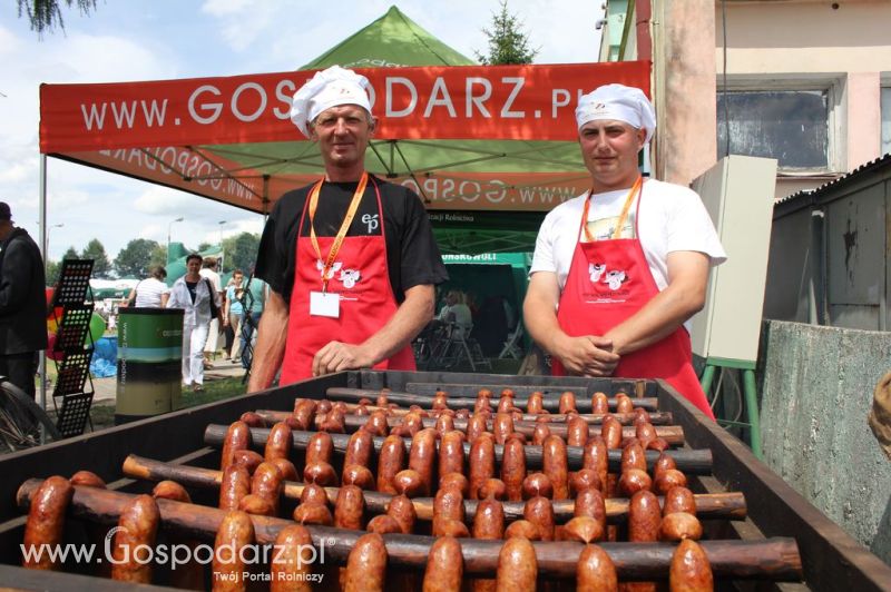 Festiwal Wieprzowiny w Bełżycach