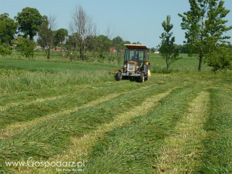 Sianokosy 2011