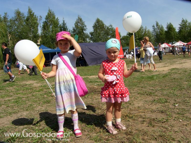 Festiwal Wieprzowiny Targowisko Dolne k/Lubawy 2012