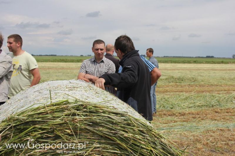 Pokazy polowe Romanów k/Krotoszyna