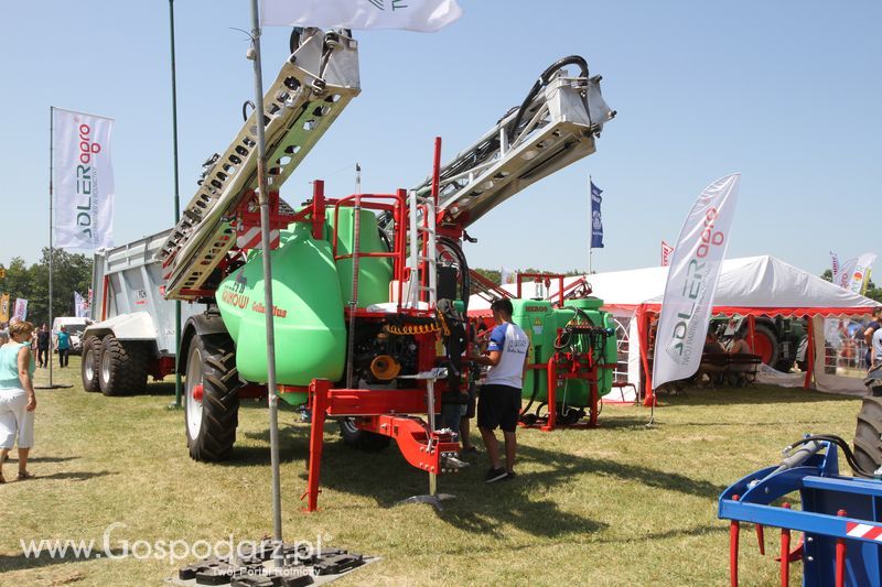 Regionalna Wystawa Zwierząt Hodowlanych W Szepietowie 2016 z Gospodarz.pl