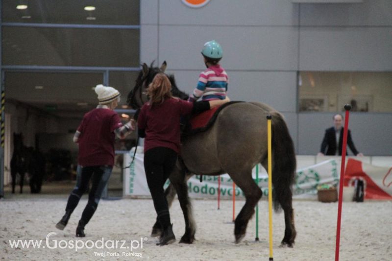 CAVALIADA 2013 w Poznaniu