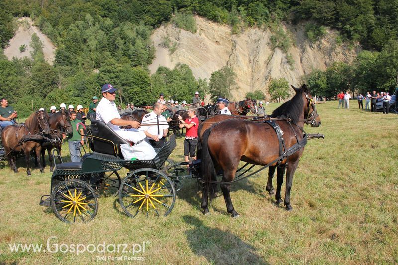 Pokazy konne i wręczenie nagród w Rudawce Rymanowskiej