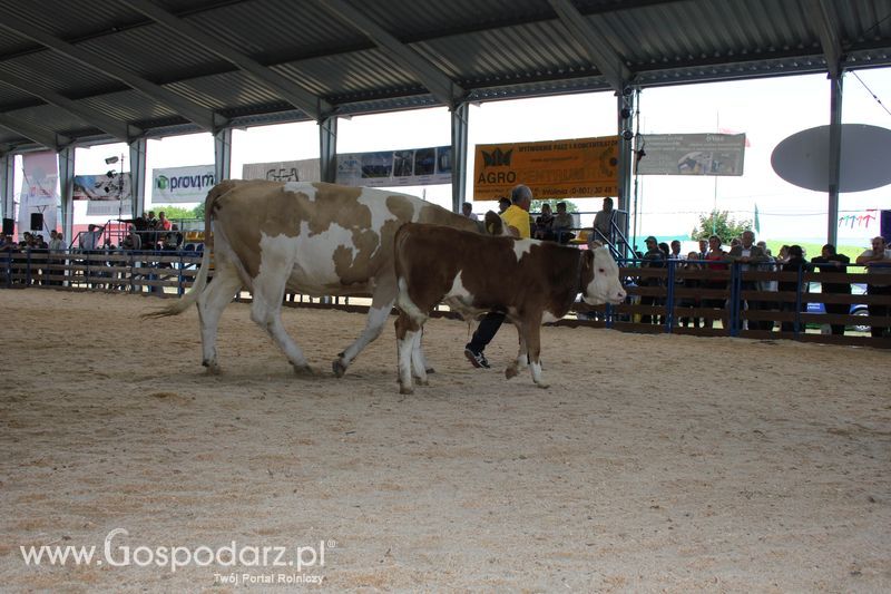 XVIII Regionalna Wystawa Zwierząt Hodowlanych i Dni z Doradztwem Rolniczym w Szepietowie - Sobota