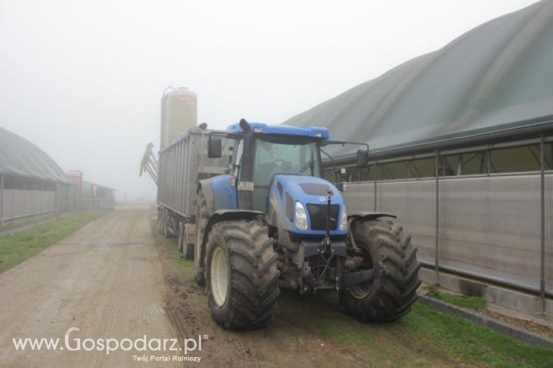 Wyjazd studyjny na farmę w Hohenhameln (Niemcy)