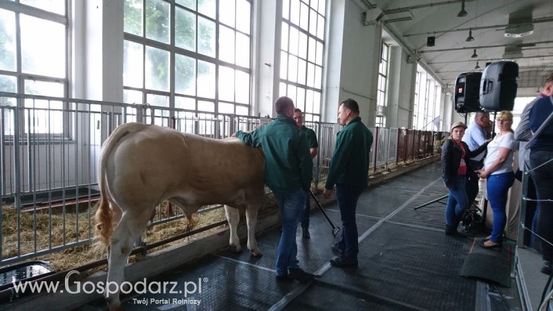 Narodowa Wystawa Zwierząt Hodowlanych 2019