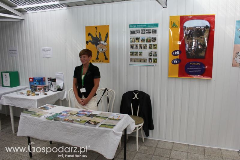 XIX Krajowe Dni Ziemniaka w Marszewie