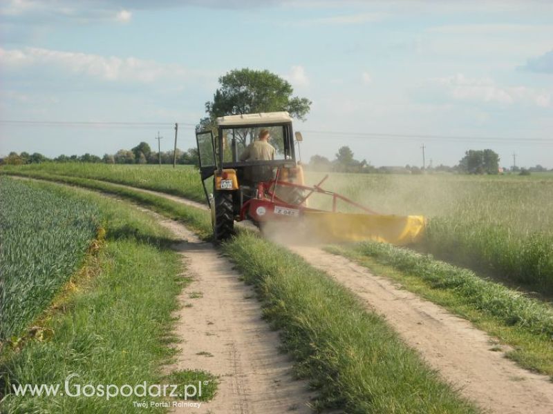 pierwsze sianokosy w roli głownej ursus c330M...