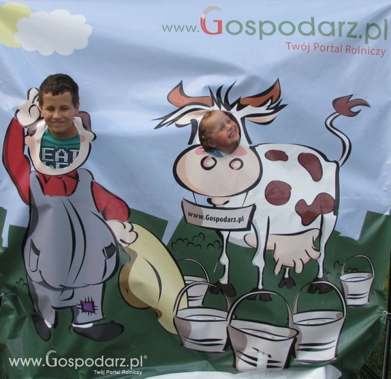 Wielkopolskie Targi Rolnicze „Sielinko 2011”  - Krówka Gospodarza