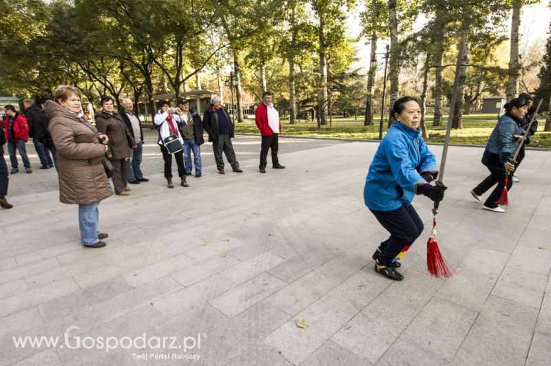 Gospodarz.pl w Chinach