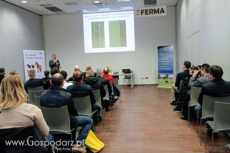 Ferma 2019 dzień 2