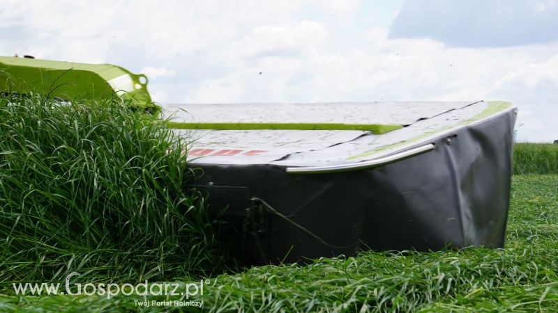 ZIELONE AGRO SHOW 2017 w Ułężu