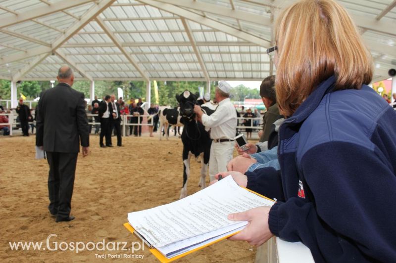 VII Ogólnopolska Wystawa Bydła Hodowlanego - Sielinko 2012
