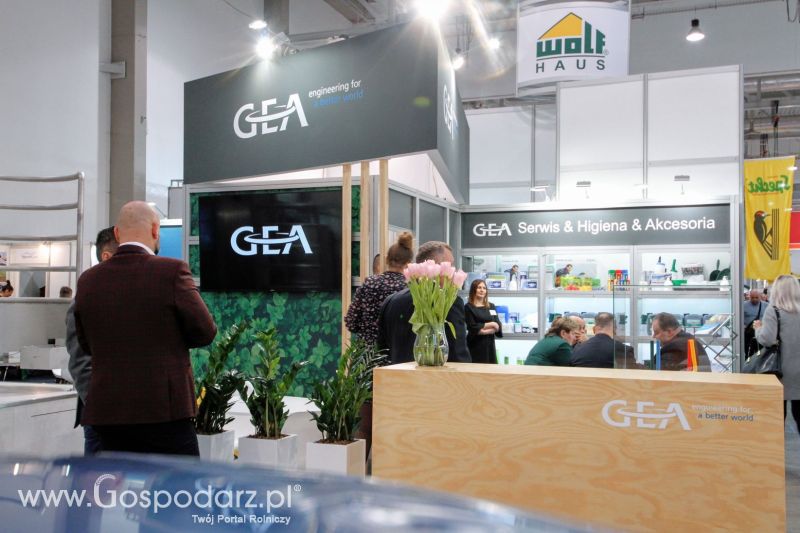 Ferma 2019 dzień 2