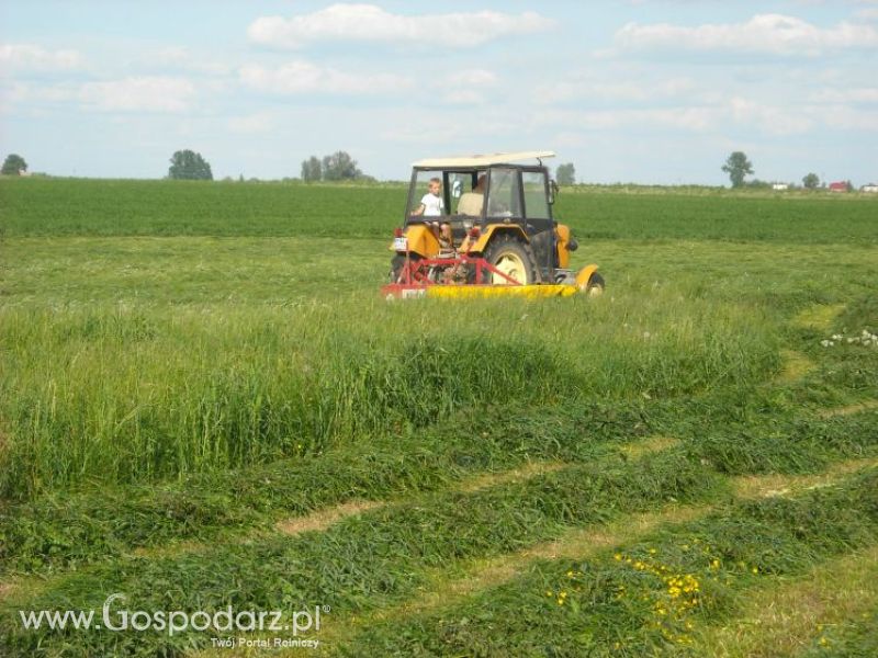 pierwsze sianokosy w roli głownej ursus c330M...