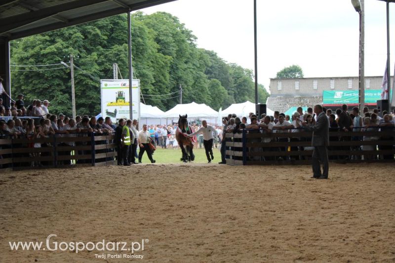 Regionalna Wystawa Zwierząt Hodowlanych i Dni z Doradztwem Rolniczym w Szepietowie-niedziela