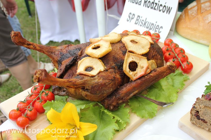 VIII Święto Gęsi - Konkurs kulinarny Najlepsza potrawa z Gęsi
