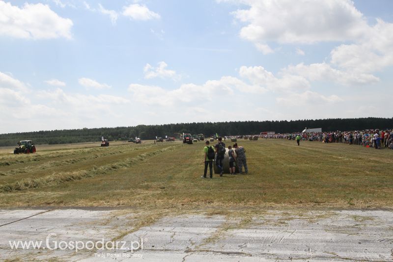 OPOLAGRA 2015 w Kamieniu Śląskim