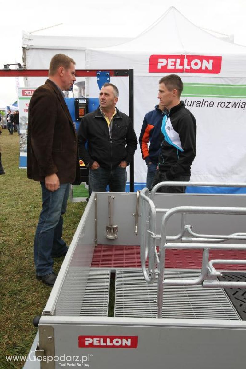 AGRO SHOW 2013 - sobota i niedziela