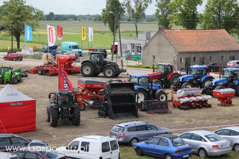 Pokazy polowe Romanów k/Krotoszyna