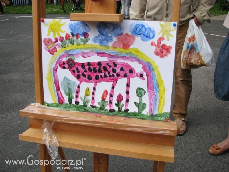 Festiwal Wieprzowiny w Koźminie Wielkopolskim 2013