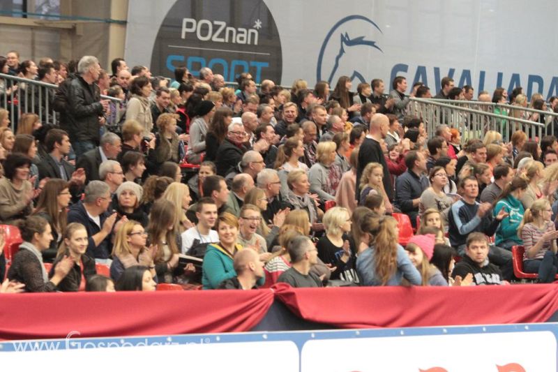 CAVALIADA 2013 w Poznaniu