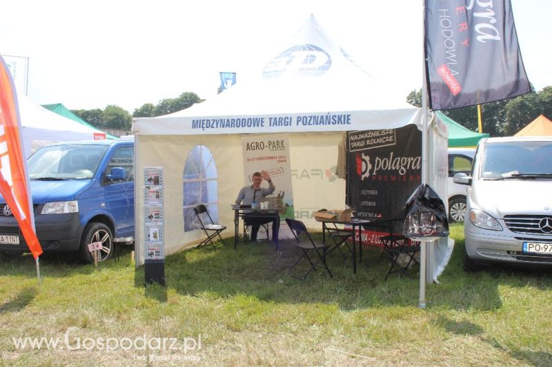 Regionalna Wystawa Zwierząt Hodowlanych i Dni z Doradztwem Rolniczym w Szepietowie-niedziela