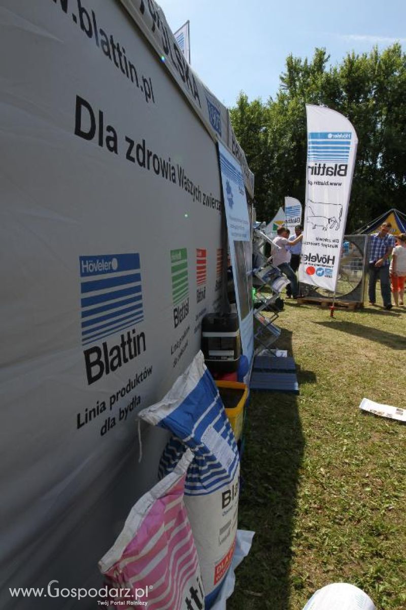 Blattin na targach AGRO-TECH Minikowo 2013