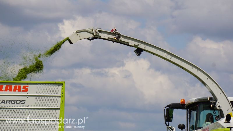 ZIELONE AGRO SHOW 2017 w Ułężu