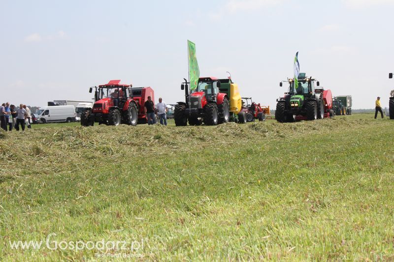 Zielone Agro Show pokaz maszyn rolniczych