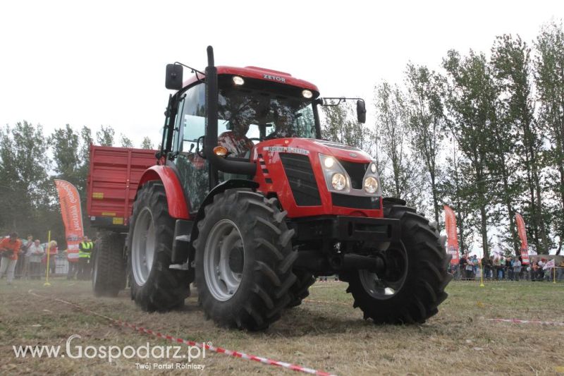 Turniej Precyzyjny Gospodarz w Wilkowicach - sobota