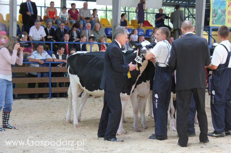 Bydło - Szepietowo 2012 XIX Regionalna Wystawa Zwierząt Hodowlanych