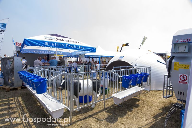 Blattin na OPOLAGRZE 2015