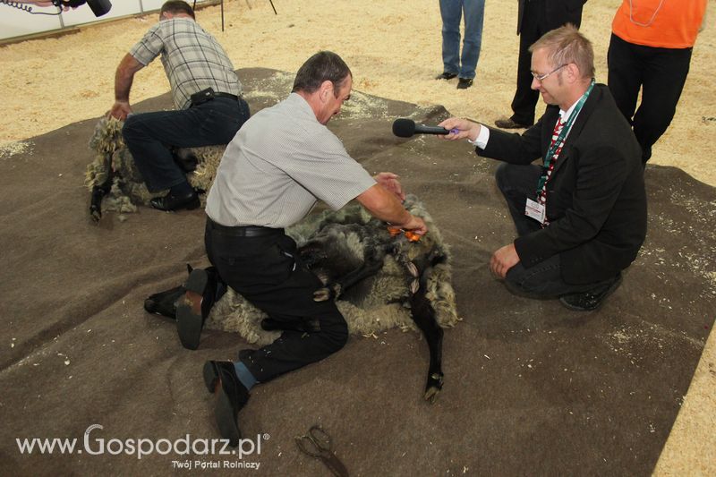 X Wystawa Ras Rodzimych - Wręczenie nagród