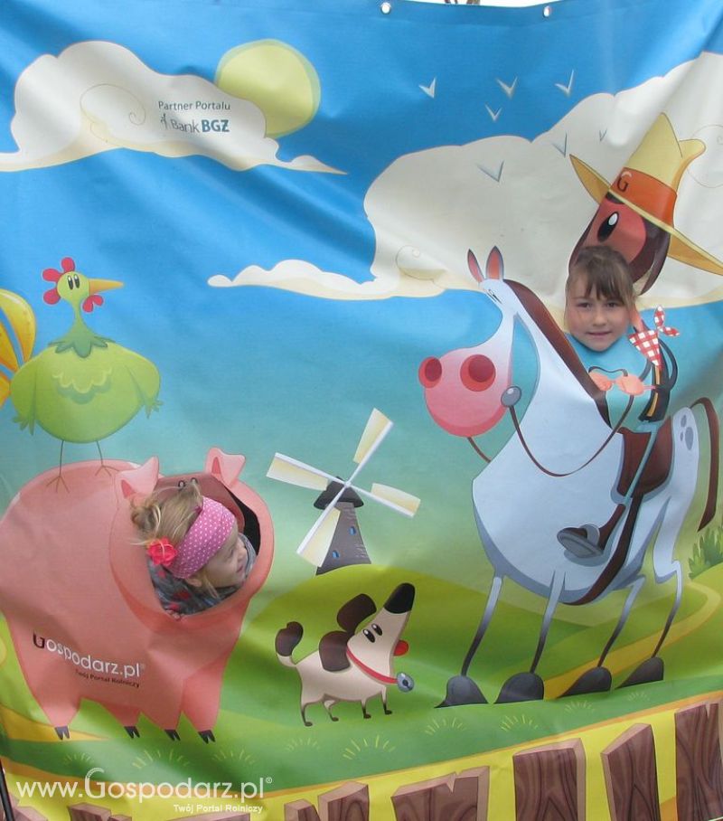 Zdjęcia ze świnką na Agro Show 2012 niedziela