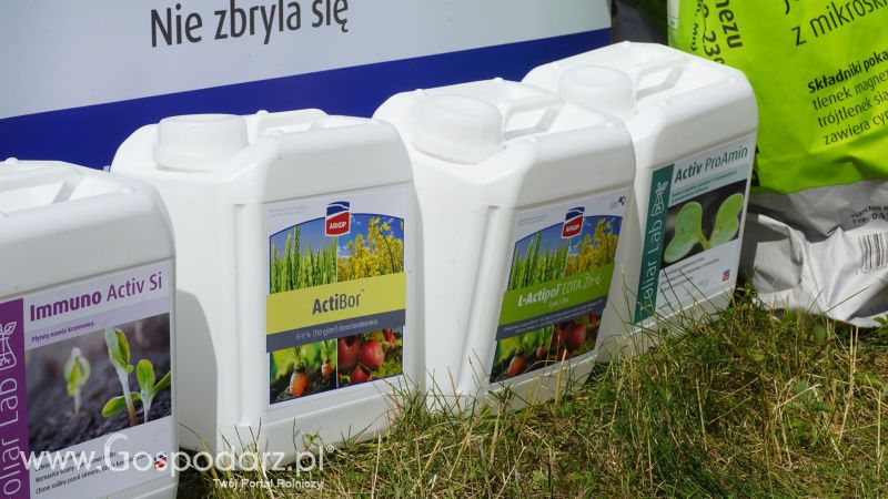 Arkop na Opolagrze 2017