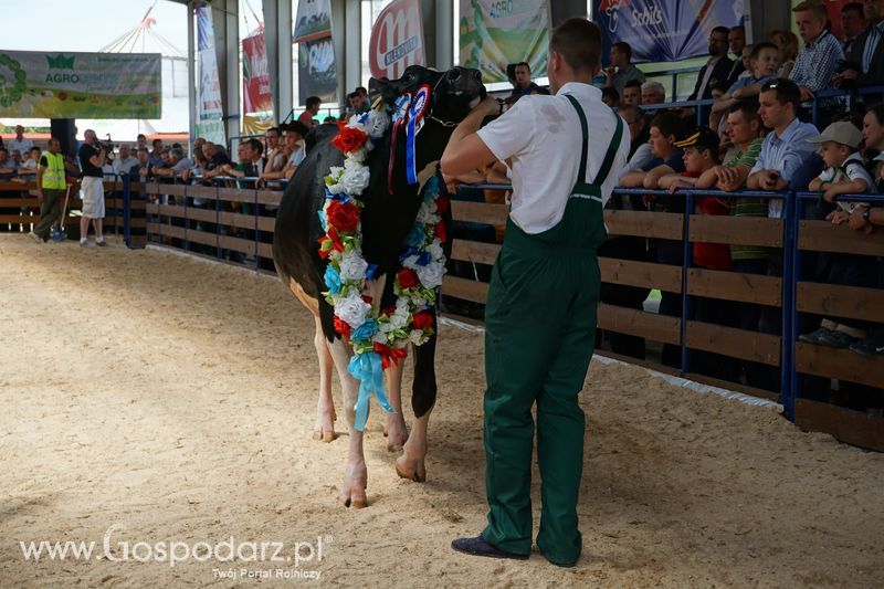 Wystawa zwierząt w Szepietowie