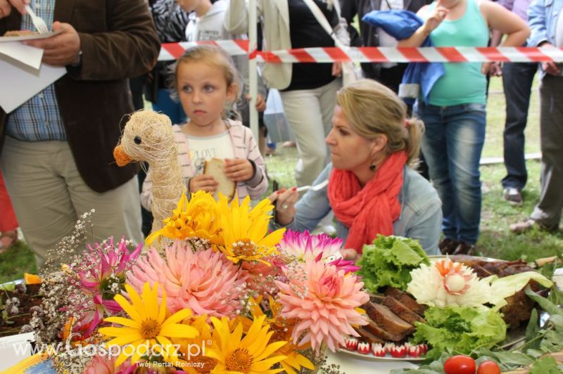 IX Święto Gęsi w Biskupcu