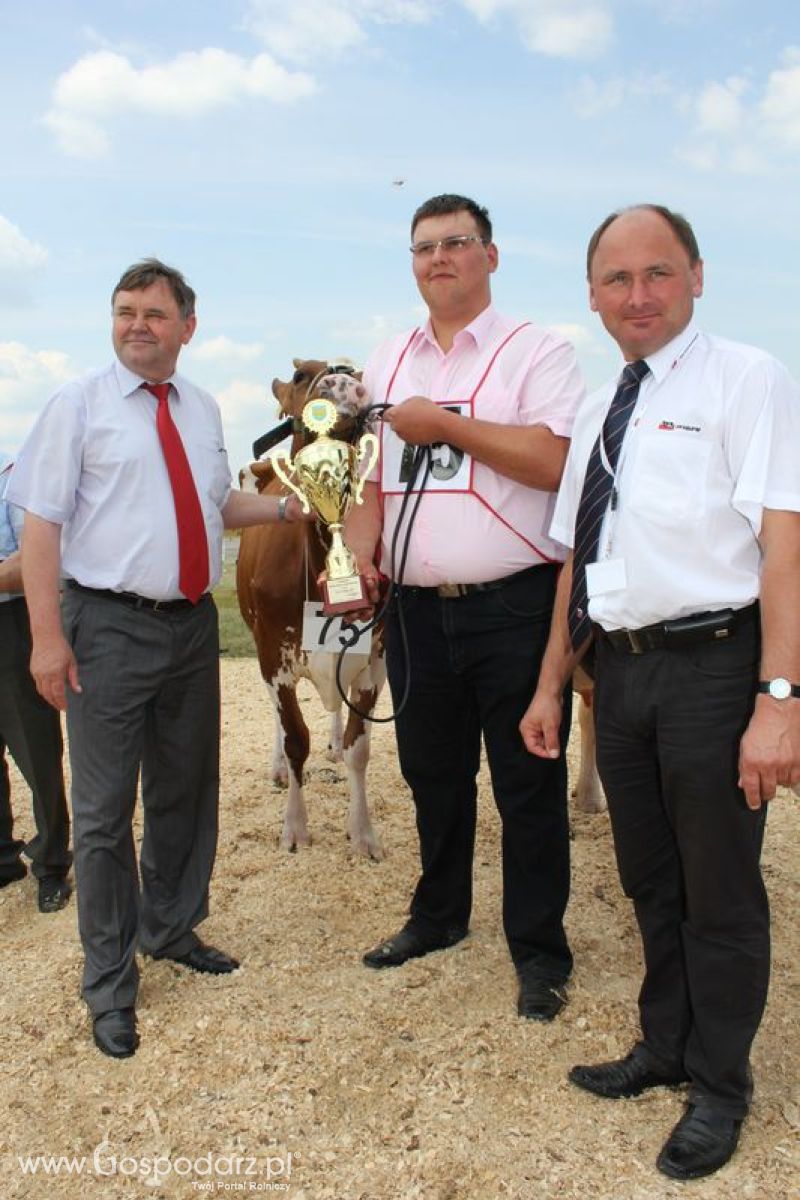 Superchampioni i championi Śląskiej Wystawy Bydła Mlecznego Opolagra 2011