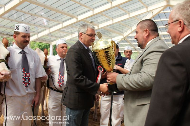 Championi VII Ogólnopolskiej Wystawy Bydła Hodowlanego - Sielinko 2012