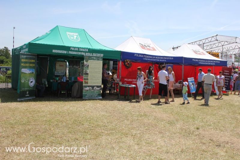 Opolagra 2013 cz.2