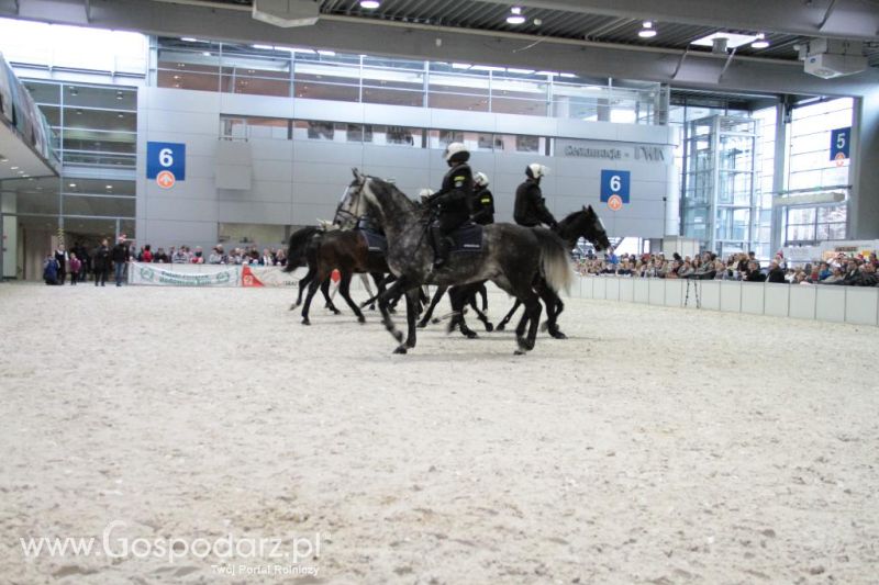 CAVALIADA 2013 w Poznaniu