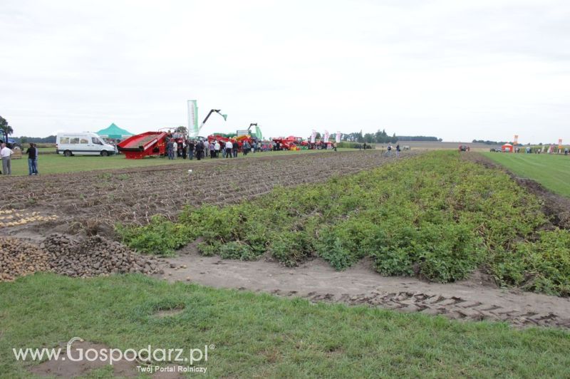 XIX Krajowe Dni Ziemniaka w Marszewie