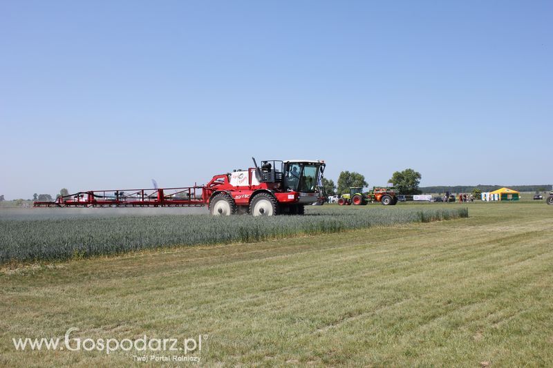 Polskie Zboża 2011 - Piątek 