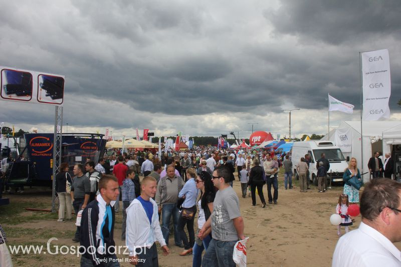 XVIII Regionalna Wystawa Zwierząt Hodowlanych w Szepietowie - niedziela