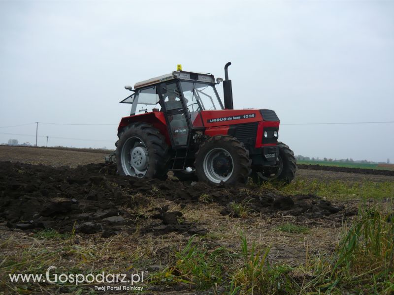 MrZgredy de luxa mają więc w polu sobie rade dają Orka Zimowa 2011