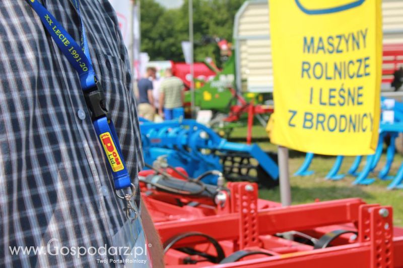Regionalna Wystawa Zwierząt Hodowlanych i Dni z Doradztwem Rolniczym w Szepietowie-niedziela