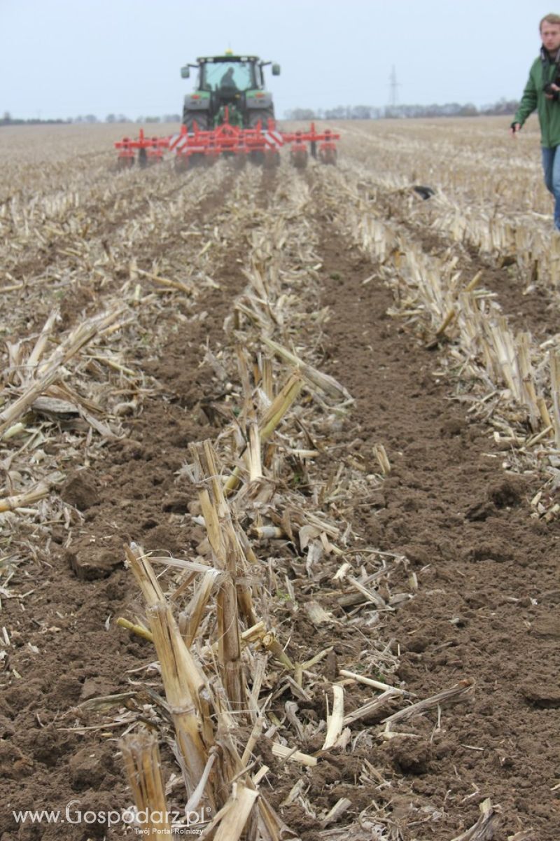 Kultywator STRIGER do uprawy pasowej