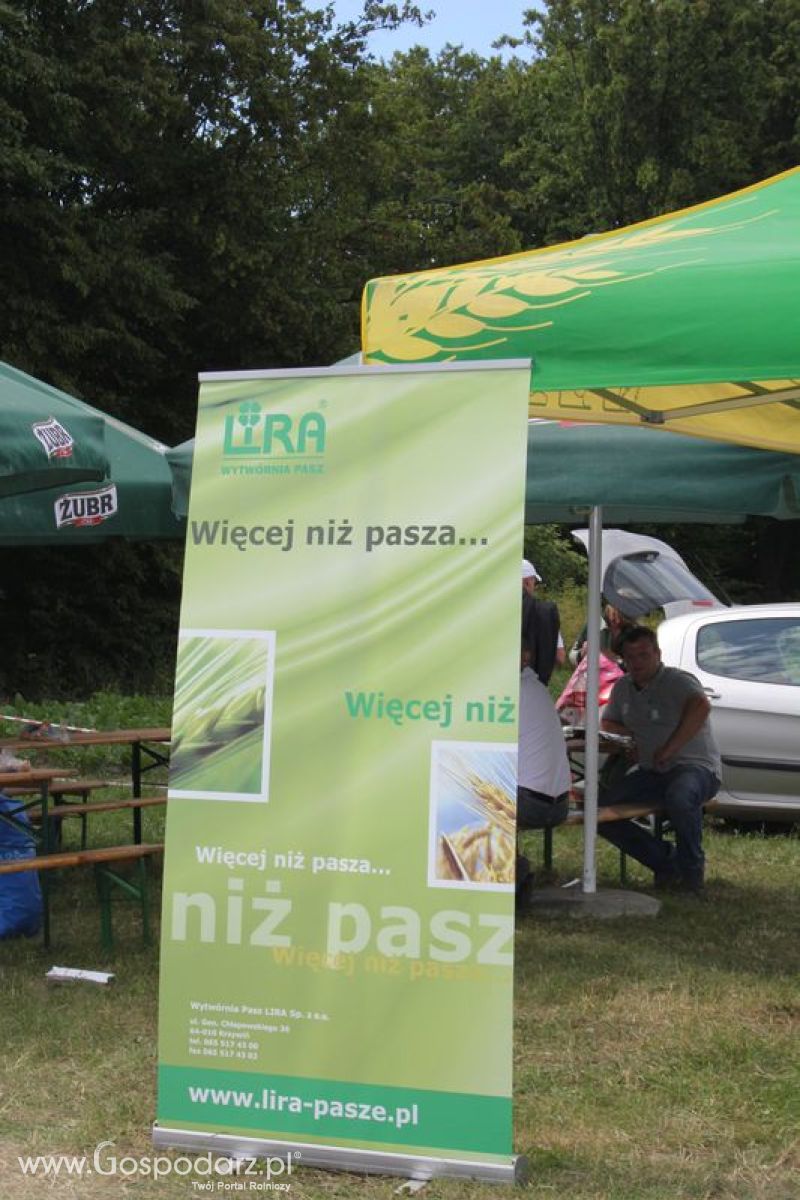 XVIII Regionalna Wystawa Zwierząt Hodowlanych w Szepietowie - niedziela