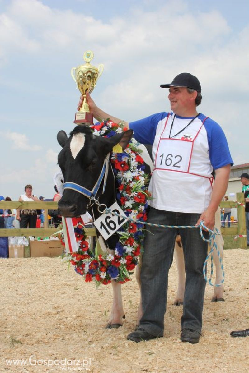 Superchampioni i championi Śląskiej Wystawy Bydła Mlecznego Opolagra 2011